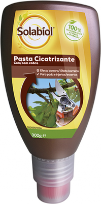 Pasta Cicatrizante con Cobre 300 Gr